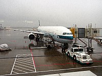 [PHOT0431.jpg]