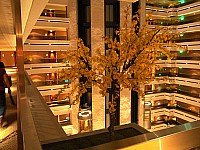 [PHOT0446.jpg]