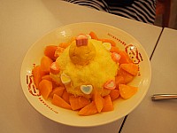 [PHOT0487.jpg]