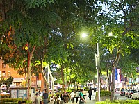 [PHOT0488.jpg]