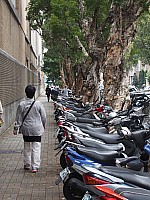 [PHOT0505.jpg]