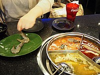 [PHOT0524.jpg]